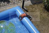 altenburg-trachtenfest-02-06-2012 (59)